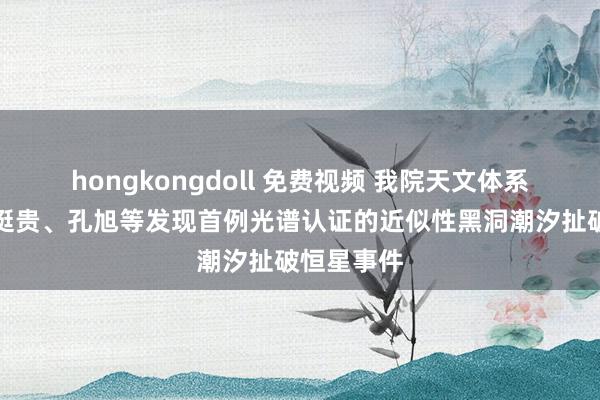 hongkongdoll 免费视频 我院天文体系蒋凝、王挺贵、孔旭等发现首例光谱认证的近似性黑洞潮汐扯破恒星事件