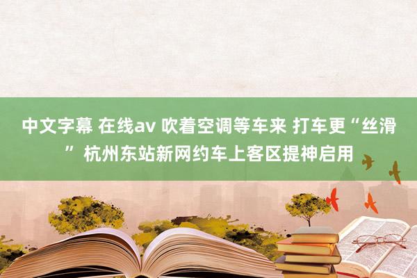 中文字幕 在线av 吹着空调等车来 打车更“丝滑” 杭州东站新网约车上客区提神启用