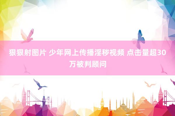 狠狠射图片 少年网上传播淫秽视频 点击量超30万被判顾问