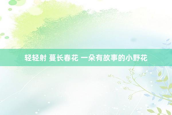 轻轻射 蔓长春花 一朵有故事的小野花
