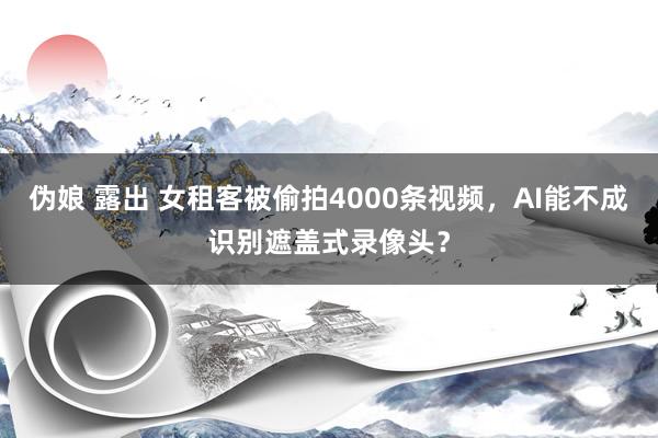 伪娘 露出 女租客被偷拍4000条视频，AI能不成识别遮盖式录像头？