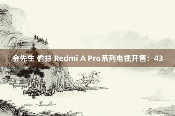 金先生 偷拍 Redmi A Pro系列电视开售：43