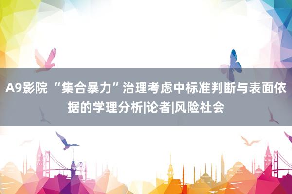 A9影院 “集合暴力”治理考虑中标准判断与表面依据的学理分析|论者|风险社会