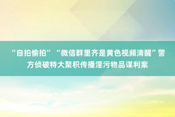 “自拍偷拍” “微信群里齐是黄色视频清醒”警方侦破特大聚积传播淫污物品谋利案