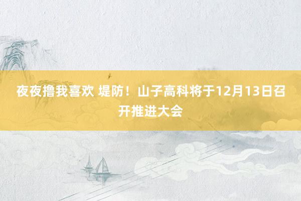 夜夜撸我喜欢 堤防！山子高科将于12月13日召开推进大会