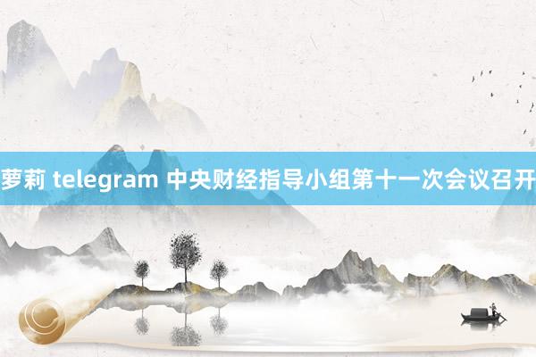 萝莉 telegram 中央财经指导小组第十一次会议召开