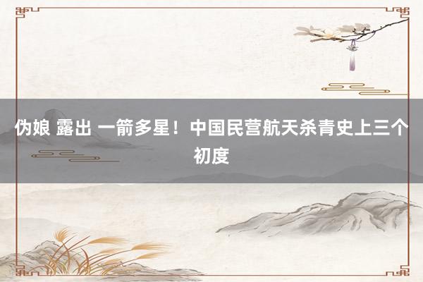 伪娘 露出 一箭多星！中国民营航天杀青史上三个初度