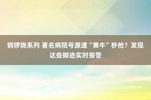 铜锣烧系列 著名病院号源遭“黄牛”秒抢？发现这些脚迹实时报警