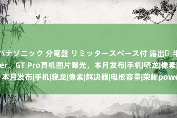 パナソニック 分電盤 リミッタースペース付 露出・半埋込両用形 荣耀Power、GT Pro真机图片曝光，本月发布|手机|骁龙|像素|解决器|电板容量|荣耀power