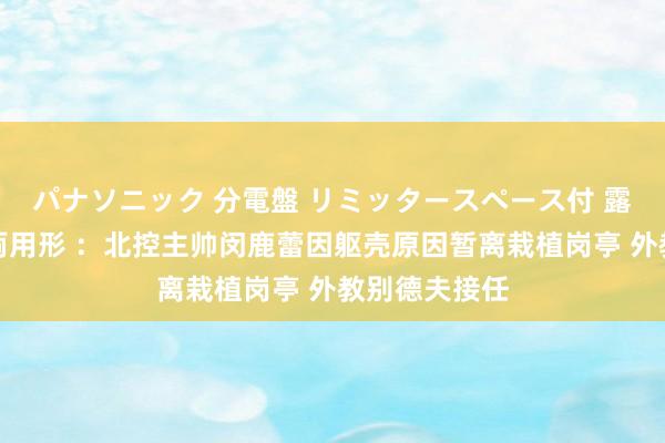 パナソニック 分電盤 リミッタースペース付 露出・半埋込両用形 ：北控主帅闵鹿蕾因躯壳原因暂离栽植岗亭 外教别德夫接任